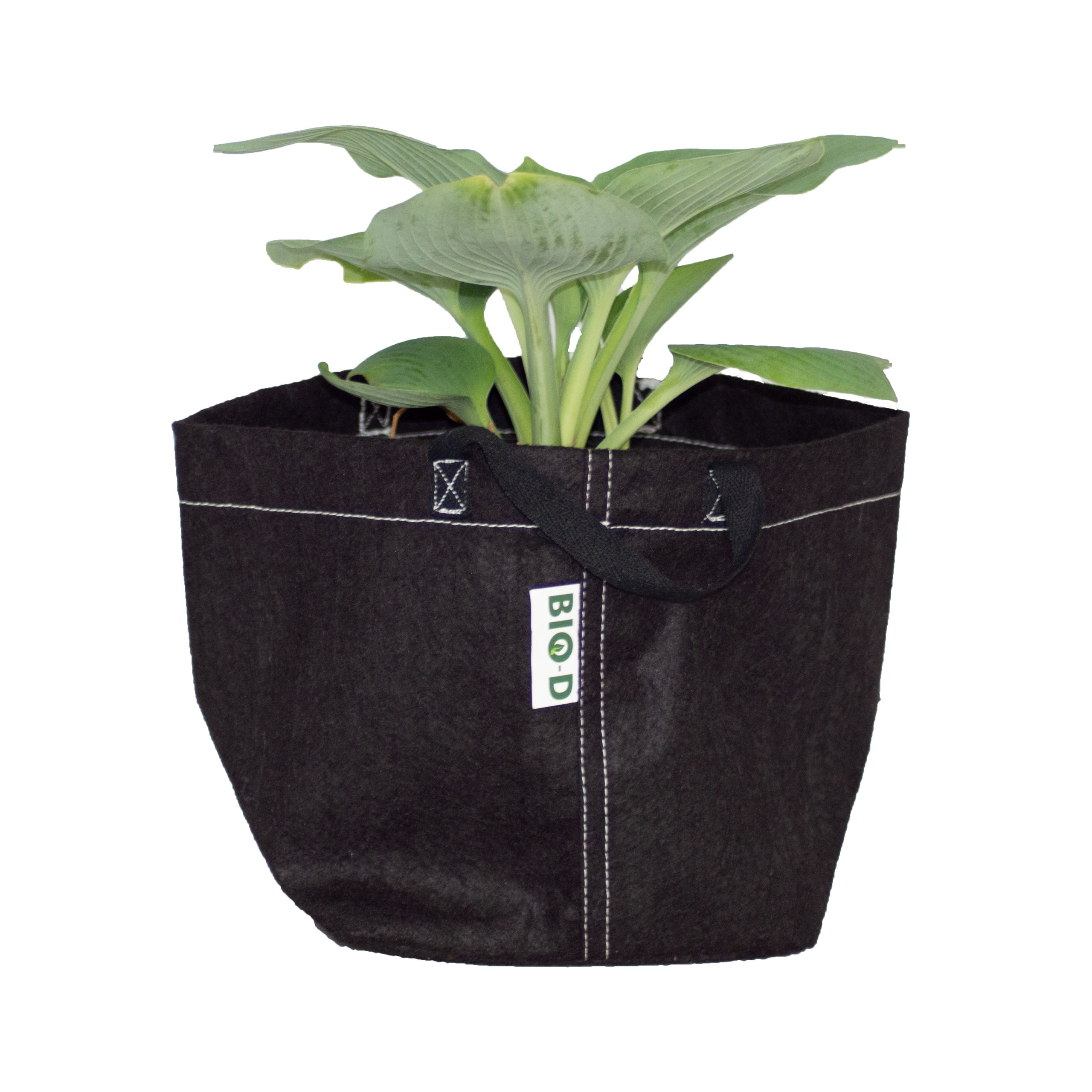 Bio-D Grow Pots 3-Pack Biodegradable Fabric Plant Grow Bags: Heavy Duty &  Environmentally Friendly - BIO-D Grow Pots
