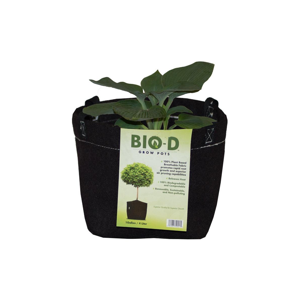 https://www.biodgrowpots.com/wp-content/uploads/2019/05/sm-plant.png